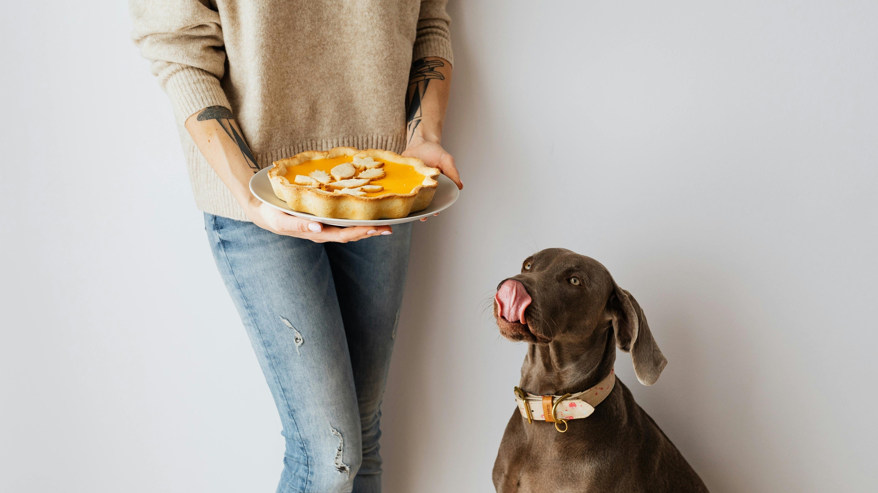 Ways to Include Your Dog on Thanksgiving