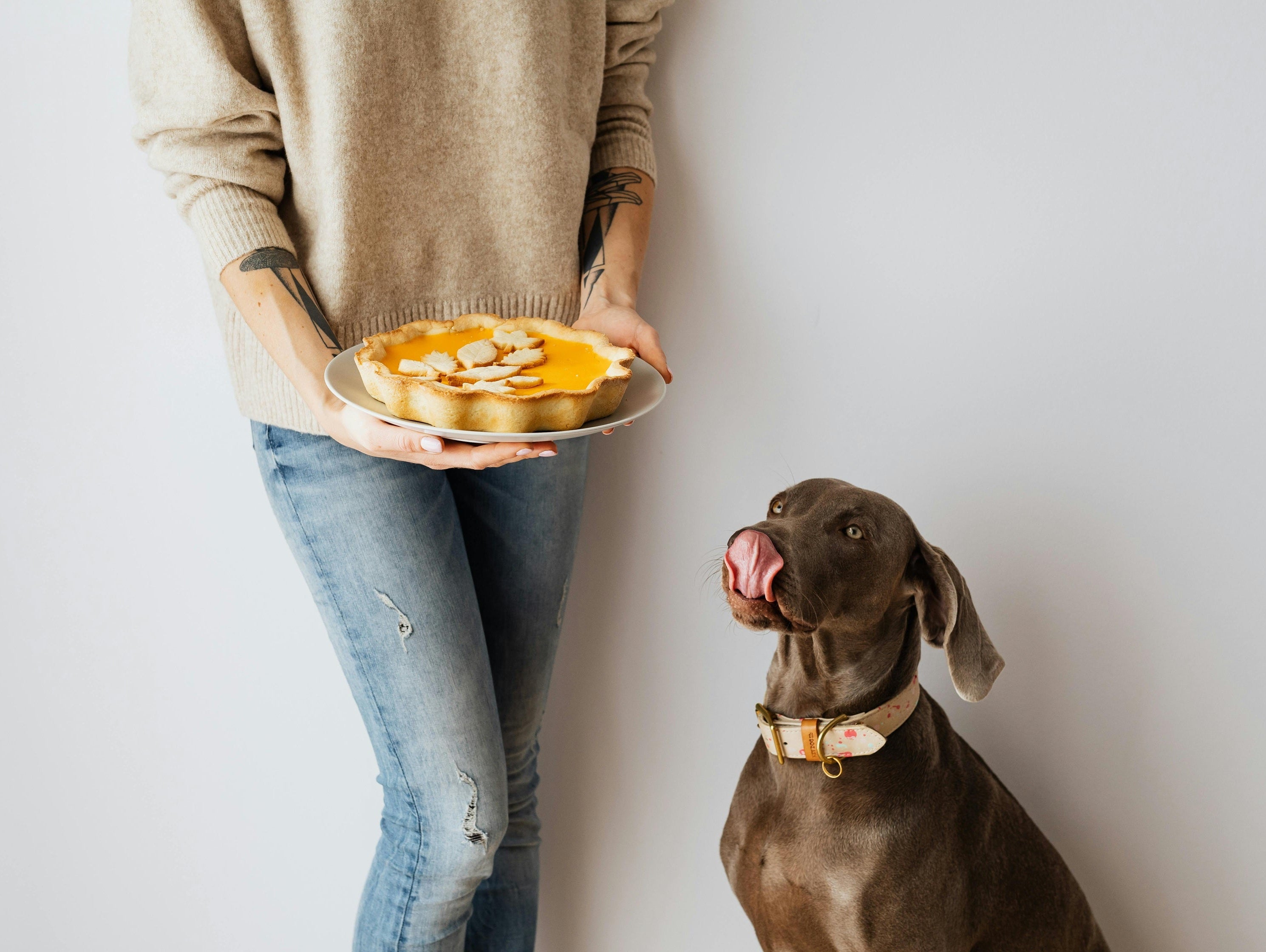 Ways to Include Your Dog on Thanksgiving