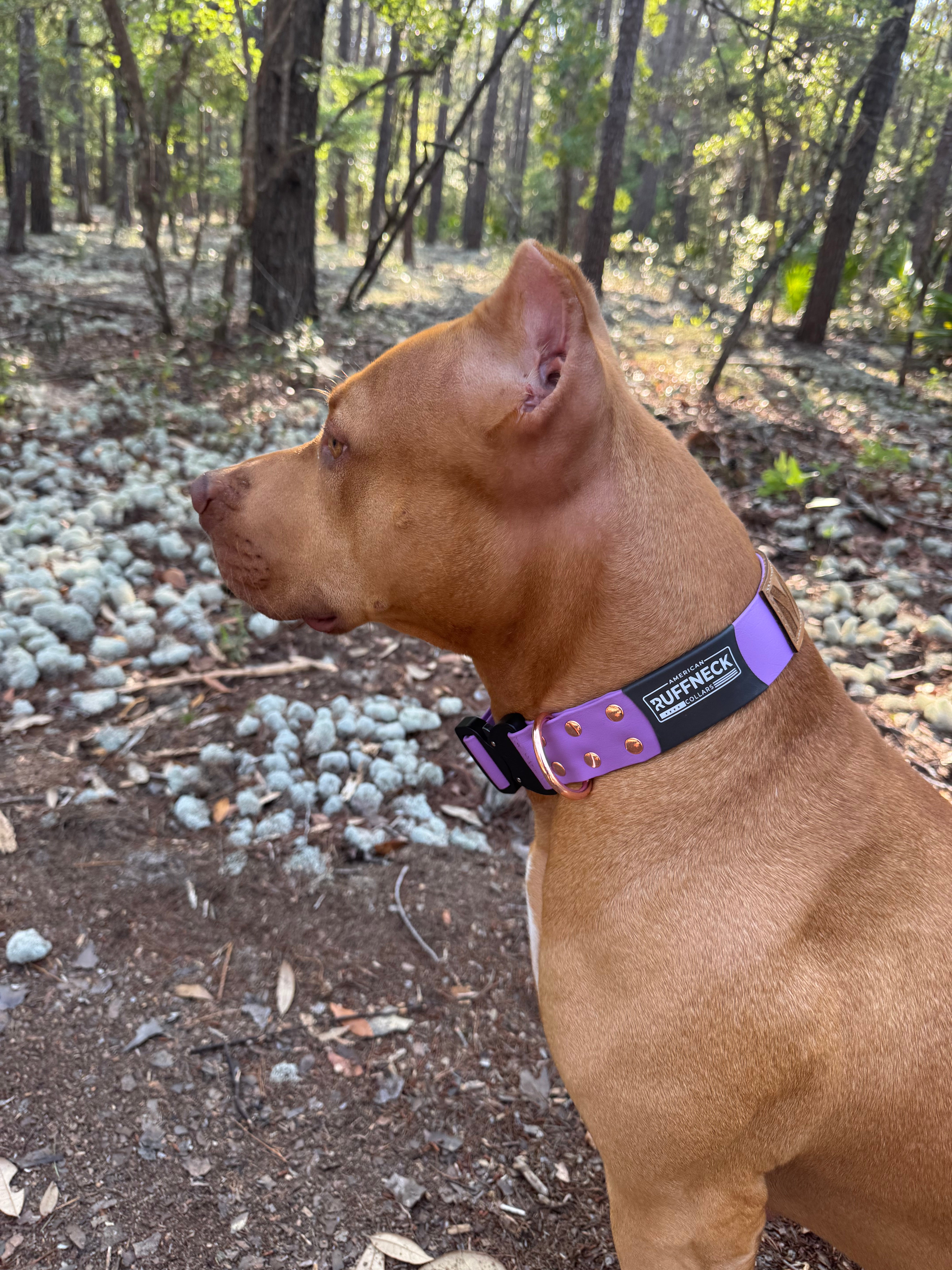 ATLAS Adjustable Collar-American Ruffneck Collars