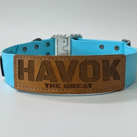 Sky Blue Biothane dog collar with silver Cobra style buckle and hardware. Leather patch sewn onto it that read HAVOK The Great