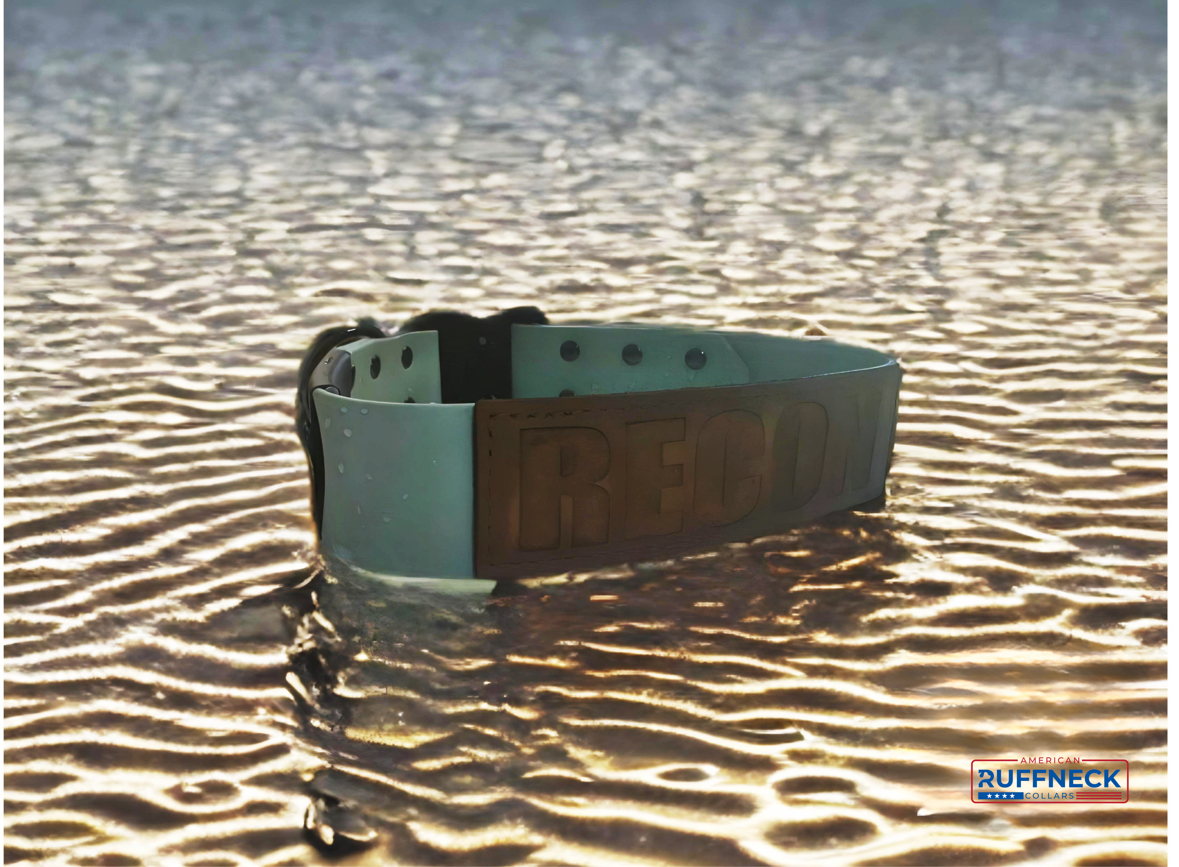 FLAGSHIP Fitted Collar-American Ruffneck Collars