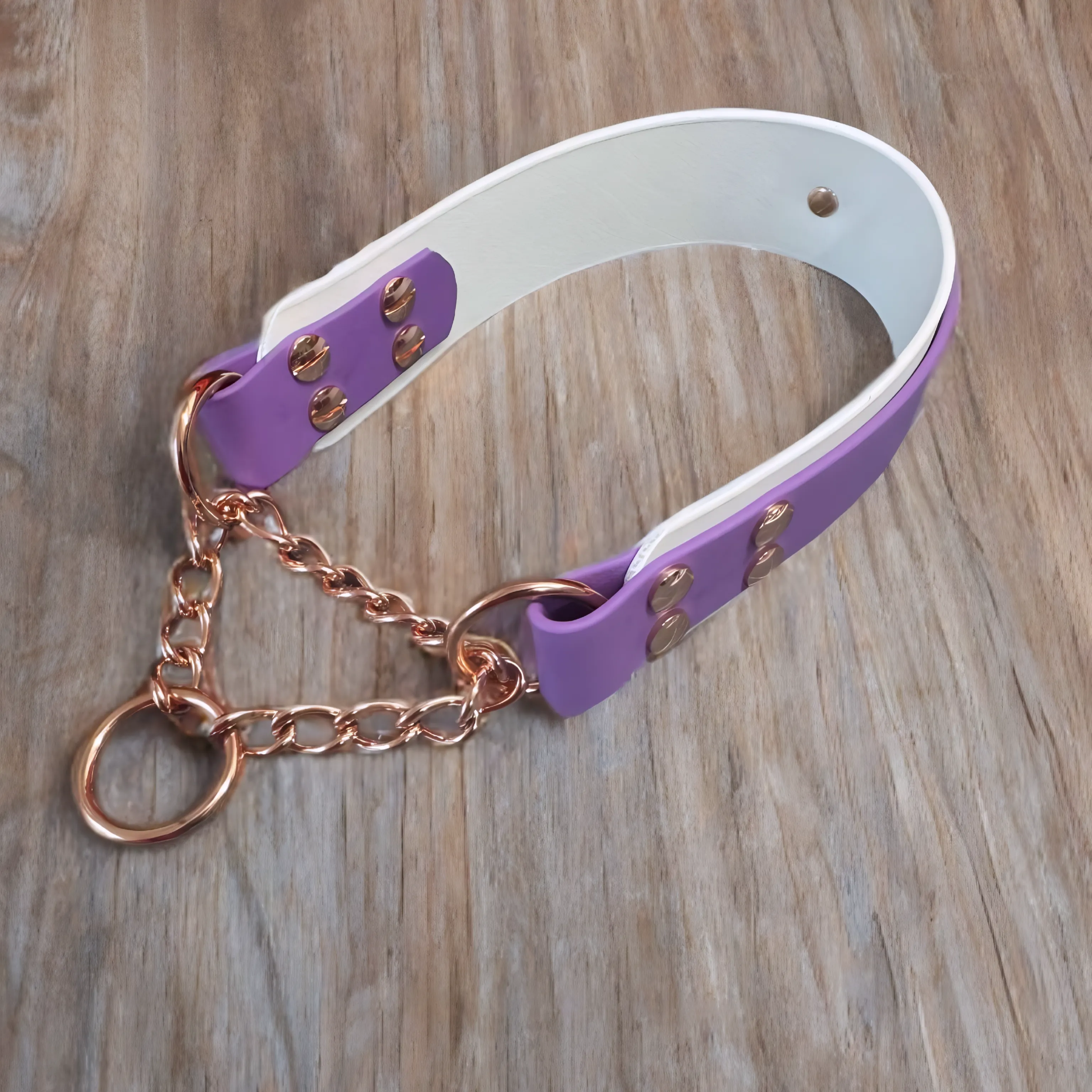 Biothane Maverick Martingale Collar by American Ruffneck Collars, featuring durable design and adjustable fit for dogs.