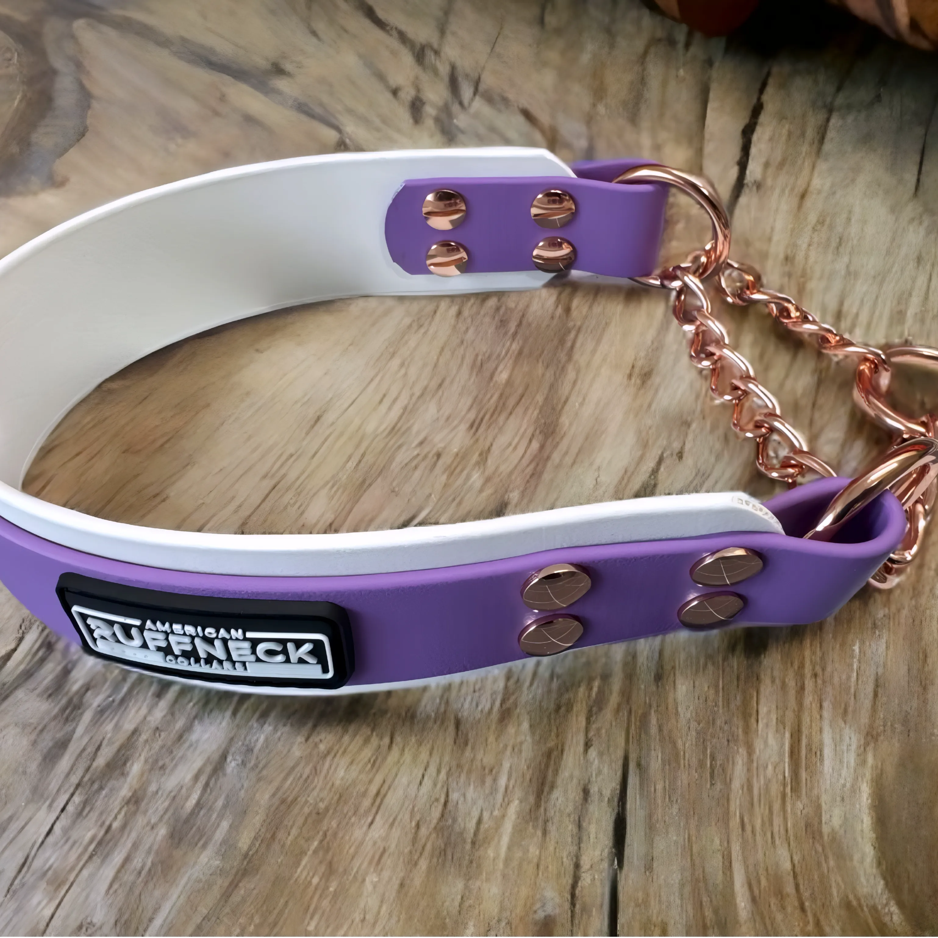 Biothane Maverick Martingale Collar by American Ruffneck Collars, shown in vibrant color with sturdy buckle and leash attachment.