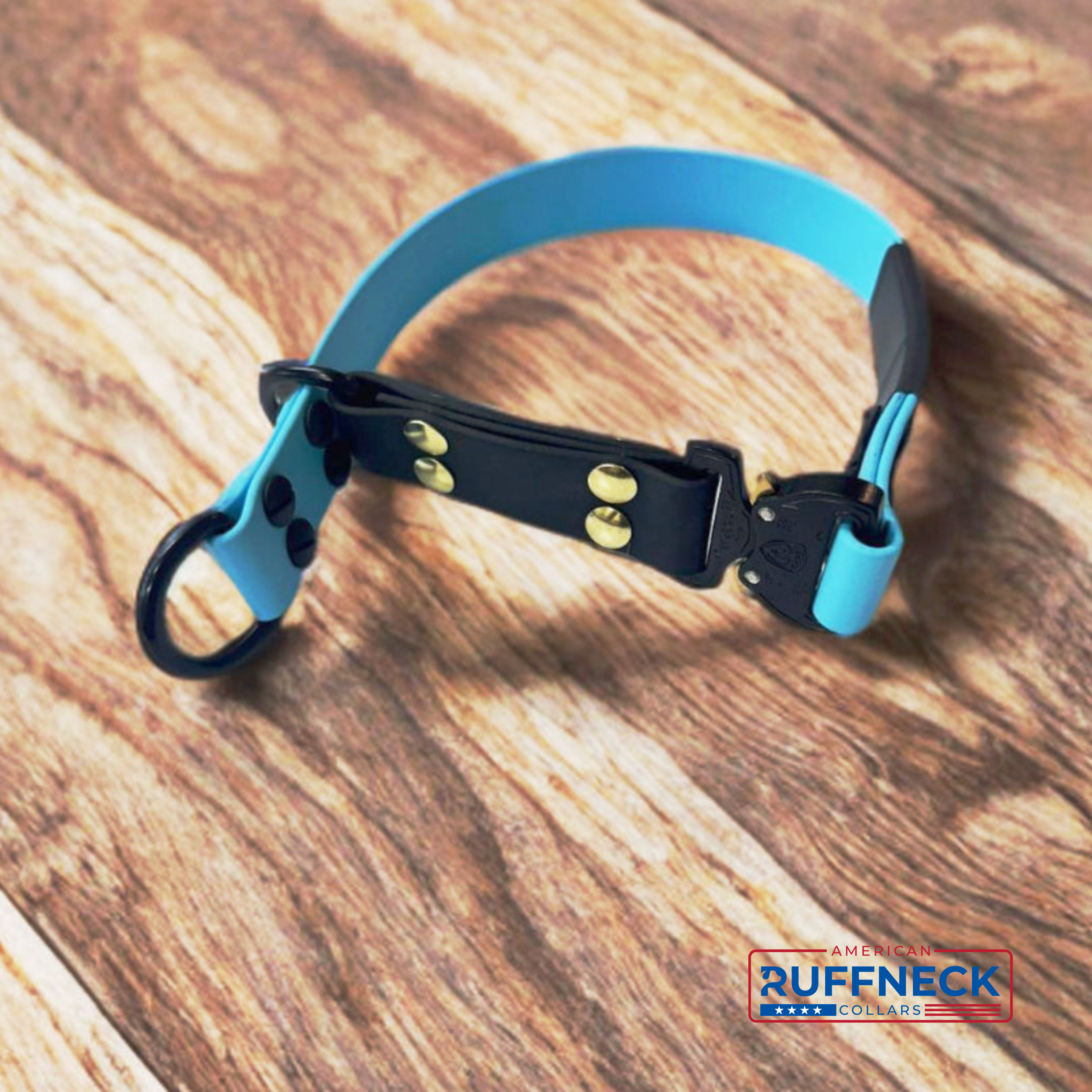 Black Biothane Sentinel slip collar by American Ruffneck Collars with metal hardware on a white background