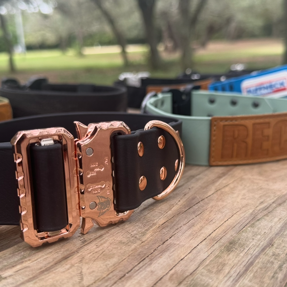 Black and gold Biothane dog collar from American Ruffneck Collars' ATLAS Adjustable Collar collection.
