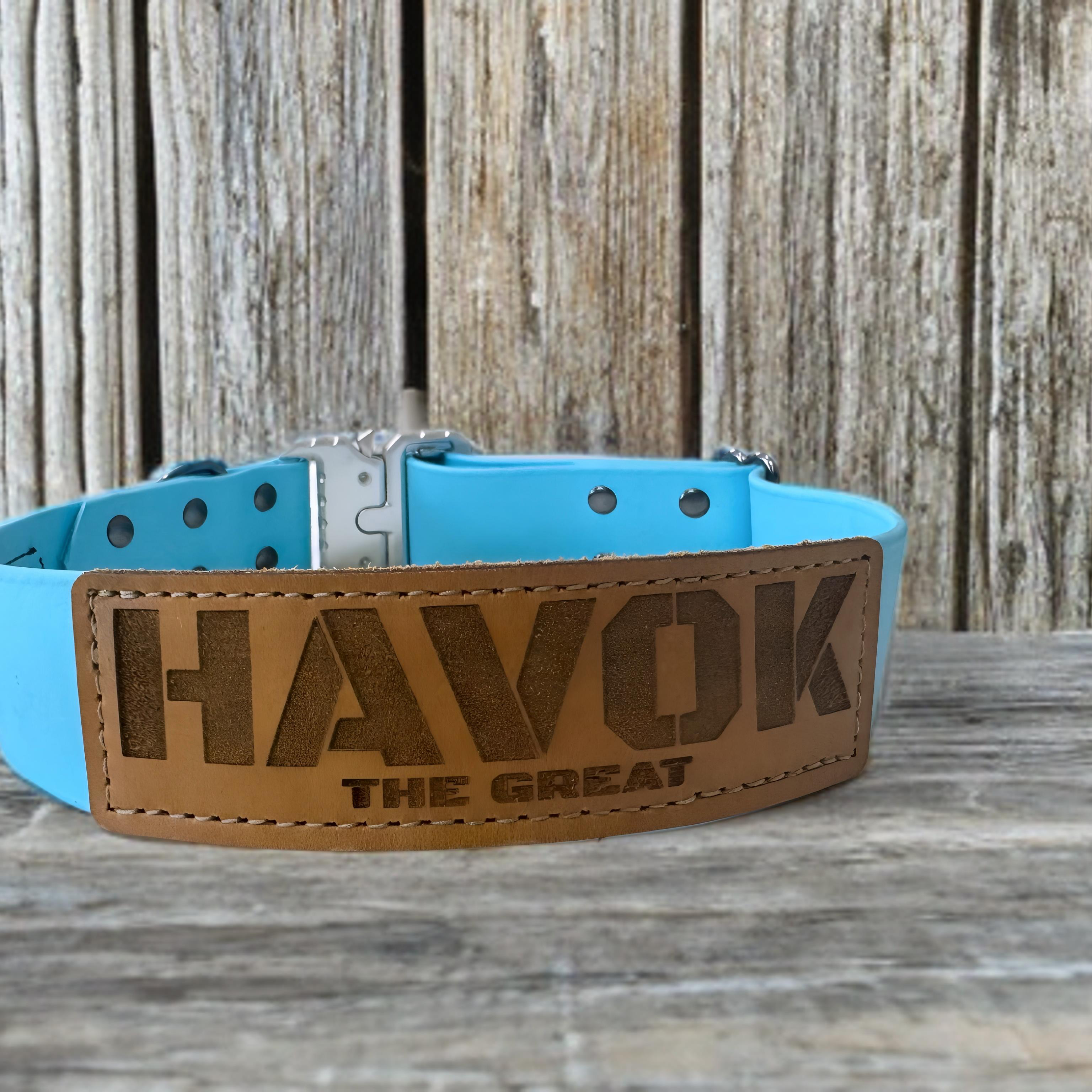 Biothane adjustable dog collar from American Ruffneck Collars featuring custom build Atlas design with secure buckle and vibrant color.