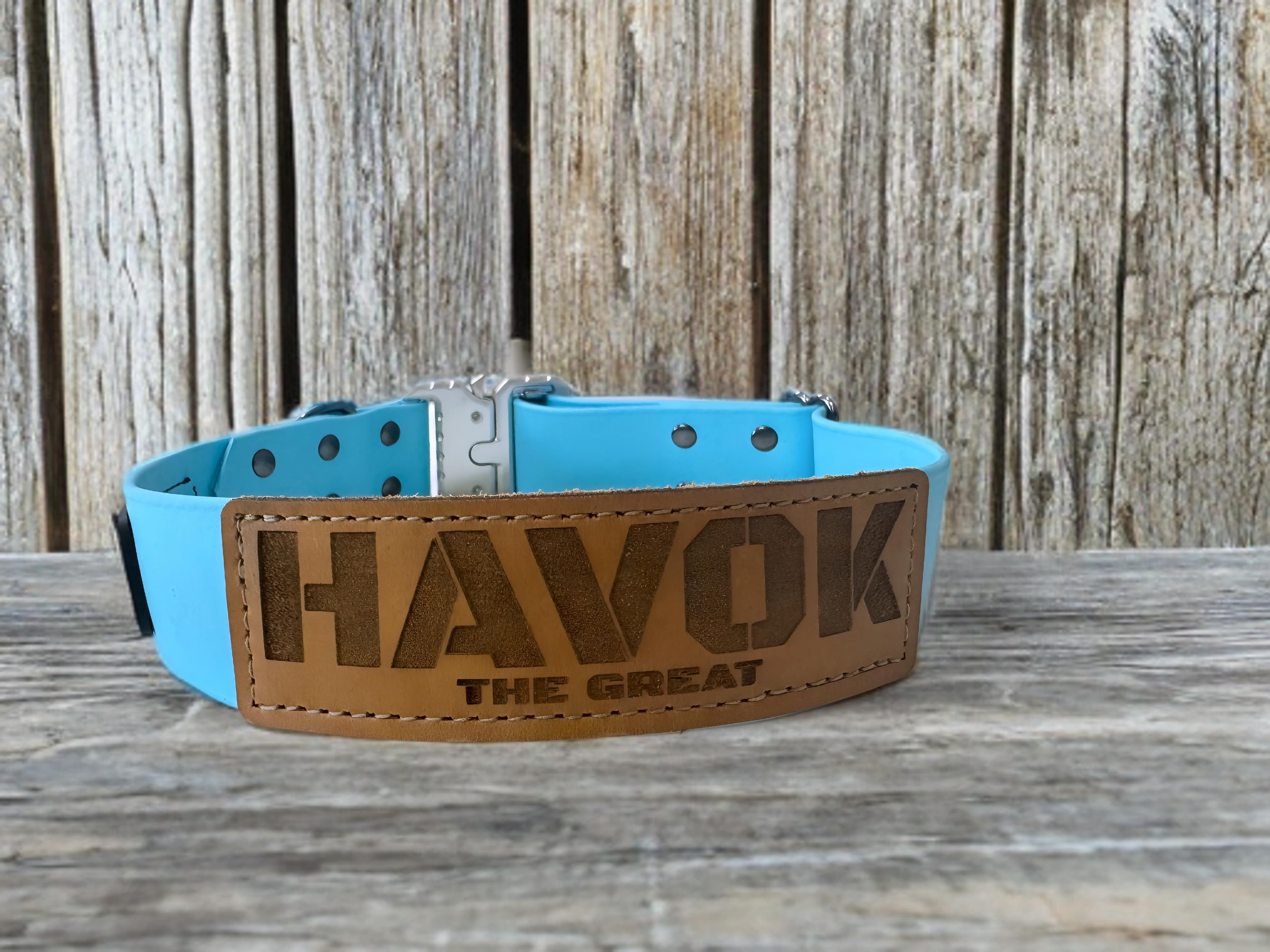 Biothane adjustable dog collar from American Ruffneck Collars featuring custom build Atlas design with secure buckle and vibrant color.