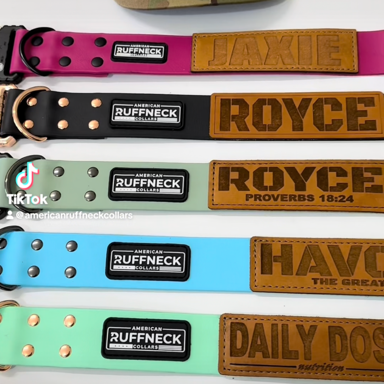 Biothane dog collar with adjustable fit from American Ruffneck Collars, custom-built Atlas collar for dogs.