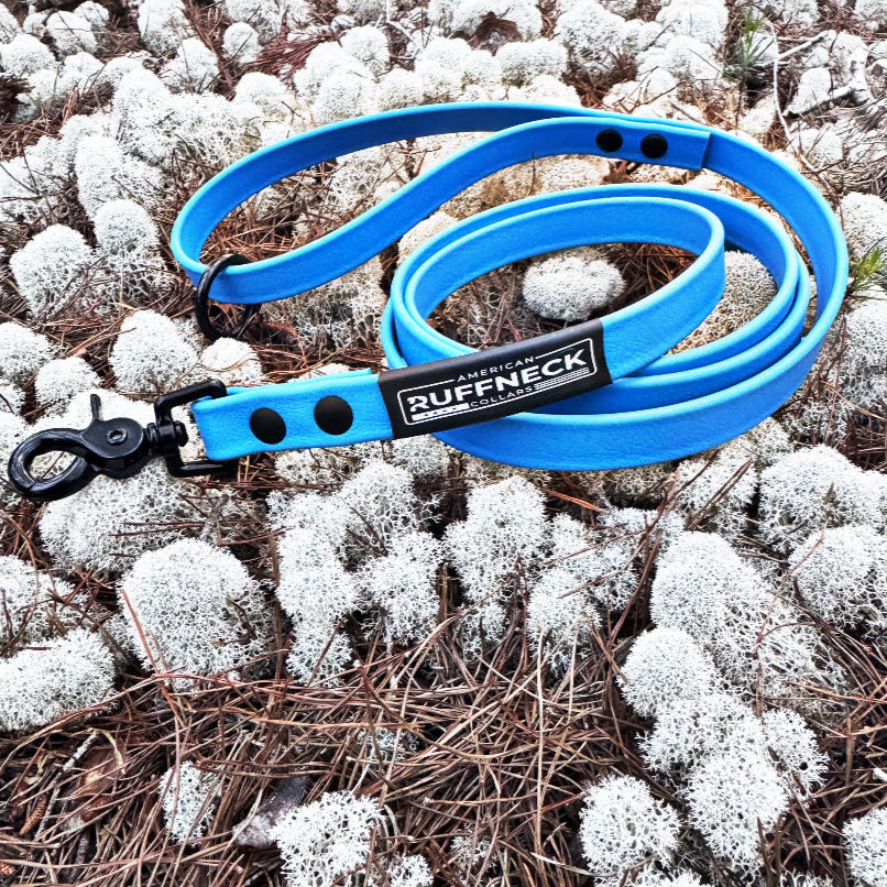 American Ruffneck Collars Daily Drifter dog leash, standard length, durable nylon leash for walking dogs.