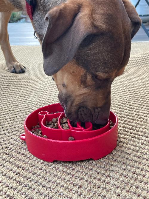 Red Santa design EBOWL slow feeder dog bowl by SodaPup, featuring festive Santa graphics for enrichment and mealtime fun.