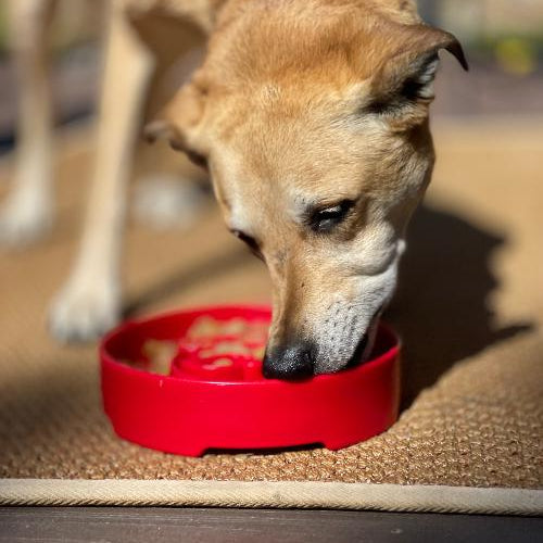 Red Santa design eBowl by SodaPup, a durable slow feeder bowl for dogs with festive holiday decoration.