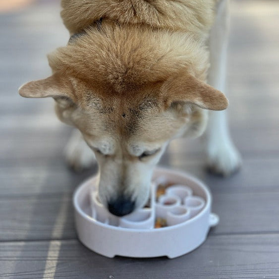 Speckled Java Design eBowl by SodaPup/True Dogs LLC, a ceramic slow feeder bowl for dogs with an enrichment design.