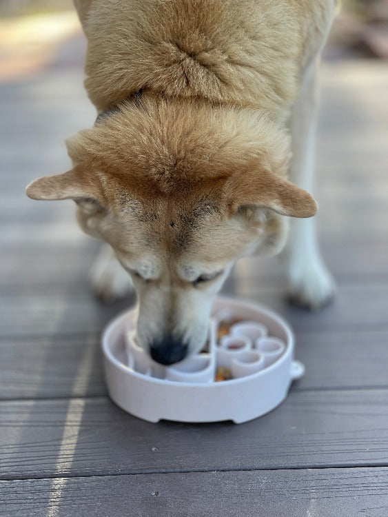 Speckled Java Design eBowl by SodaPup/True Dogs LLC, a ceramic slow feeder bowl for dogs with an enrichment design.
