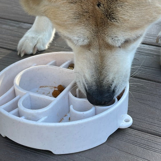 Speckled Java Design SodaPup eBowl for dogs, an enrichment slow feeder bowl with a durable, colorful ceramic finish.