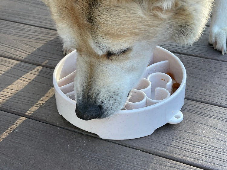 Speckled Java Design SodaPup eBowl for dogs, a slow feeder enrichment bowl with a speckled pattern and durable plastic construction.