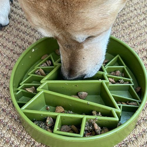 Green SodaPup EBOWL with pine tree design, dog slow feeder bowl for enrichment and mealtime stimulation.