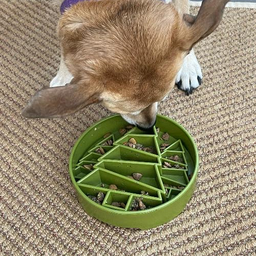 Green Pine Tree Design SodaPup EBOWL slow feeder bowl for dogs with a natural pine tree pattern on durable plastic.