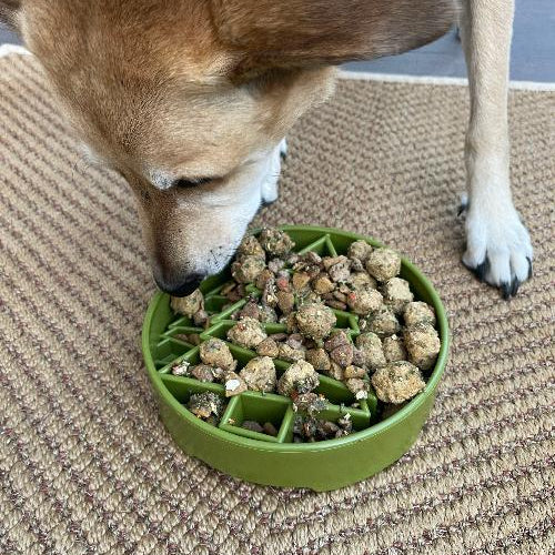 Green SodaPup EBOWL with pine tree design, a dog enrichment slow feeder bowl made by True Dogs, LLC.
