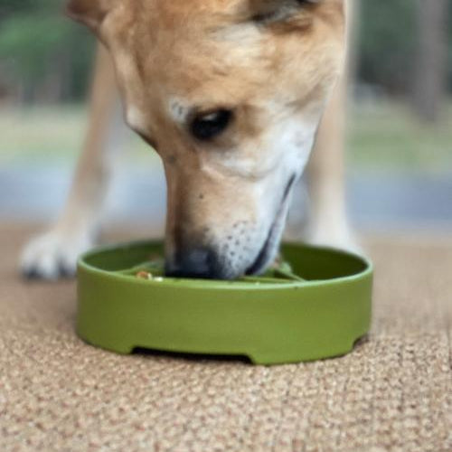 Green Pine Tree Design EBOWL slow feeder for dogs by SodaPup and True Dogs, featuring a colorful pine tree pattern.