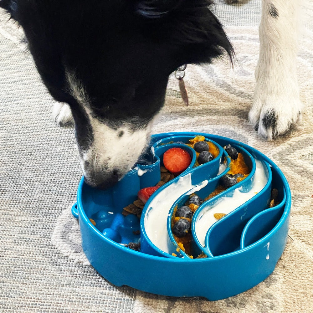 Blue Wave Design SodaPup eBowl for dogs, a slow feeder enrichment bowl with wave pattern, made by True Dogs, LLC.