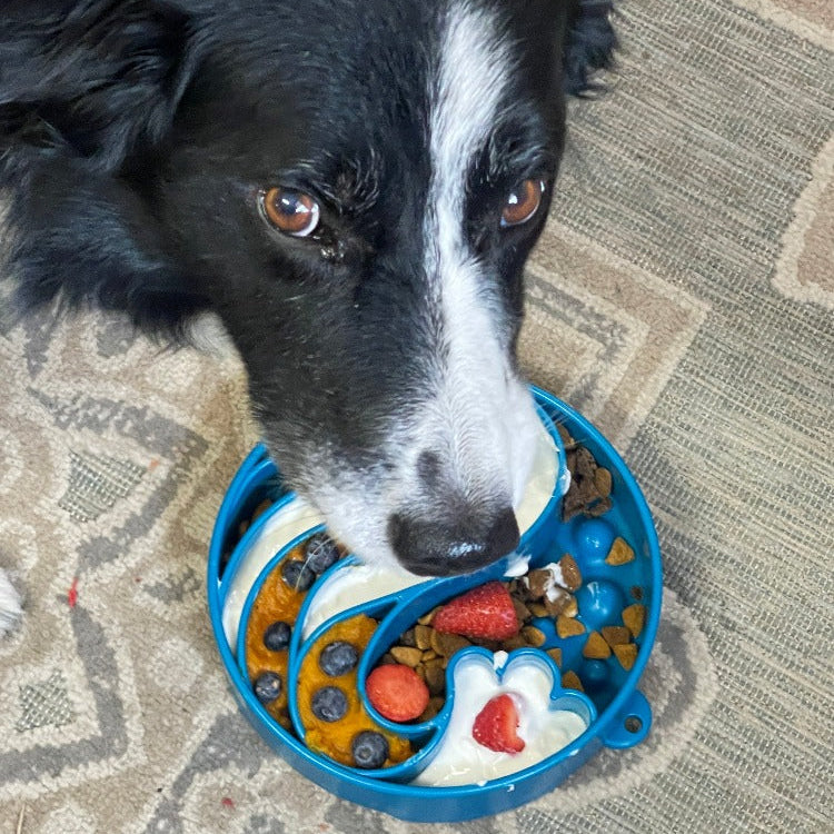 Blue Wave Design SodaPup eBowl for dogs, a slow feeder enrichment bowl with a unique wave pattern for interactive feeding.