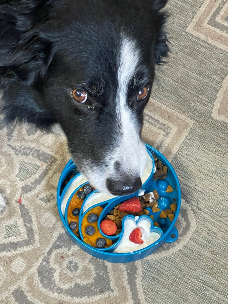 Blue Wave Design SodaPup eBowl for dogs, a slow feeder enrichment bowl with a unique wave pattern for interactive feeding.