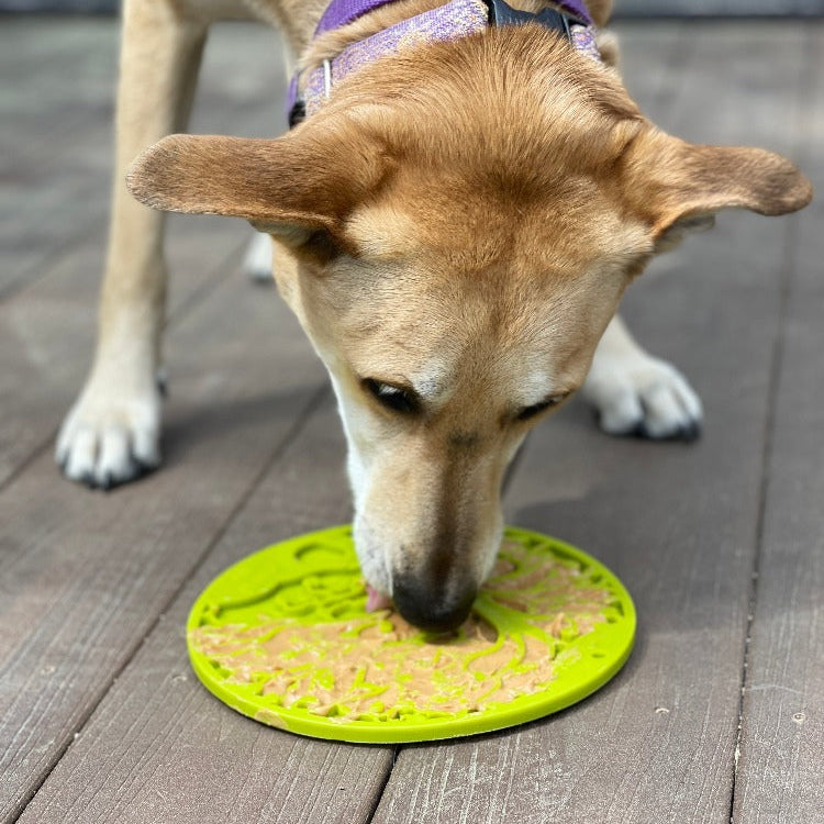 Green Tree of Life design SodaPup EMAT enrichment lick mat with suction cups for dogs, featuring a colorful, textured surface for added engagement.