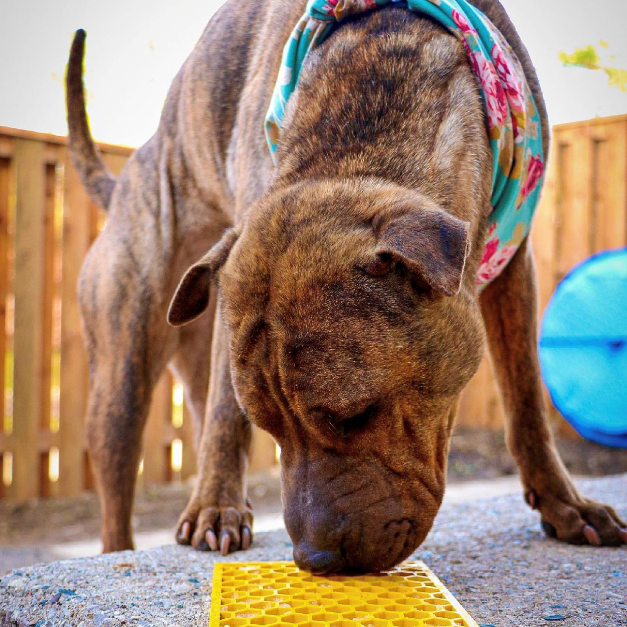 Large yellow Honeycomb Design EMAT Enrichment Lick Mat by SodaPup for dogs, featuring textured honeycomb pattern for mental stimulation.
