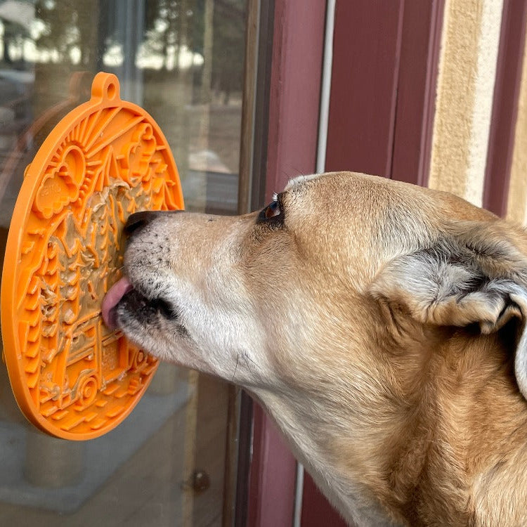 Orange SodaPup EMAT Camp eMat enrichment lick mat for dogs, featuring textured surface for mental stimulation and fun.