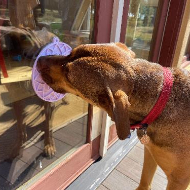 Pastel purple Lotus Design eMat Enrichment Lick Mat with suction cups from SodaPup/True Dogs, LLC, featuring a lotus pattern.