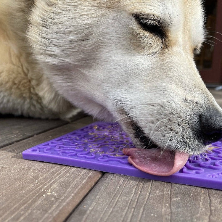 Purple Bones Design eMat Enrichment Lick Mat by SodaPup for dogs, featuring a textured surface for engaging pet enrichment.