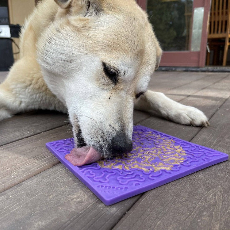 Purple Bones Design eMat enrichment lick mat by SodaPup for dogs, featuring a durable silicone surface with bone patterns.