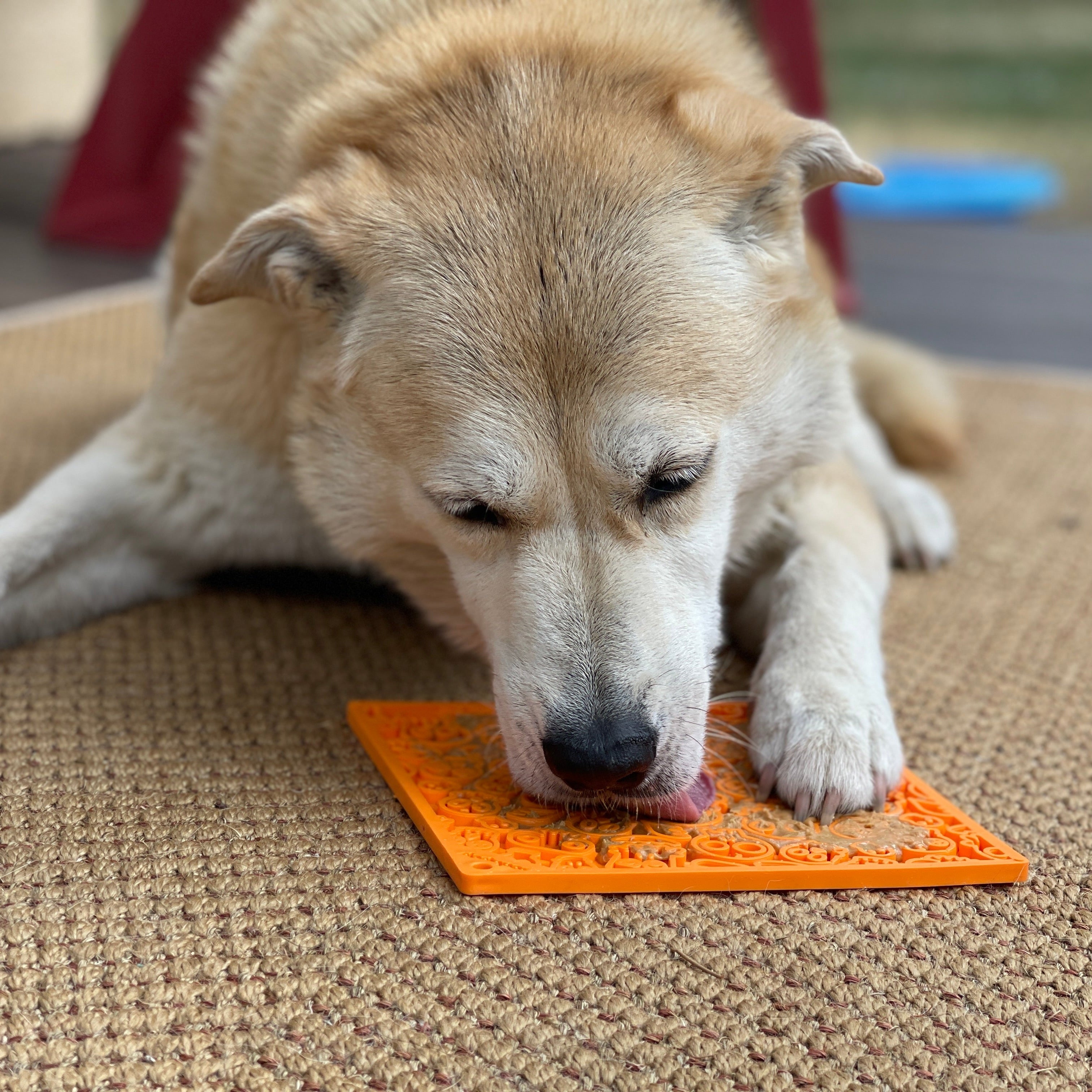 Black Zombie Design EMAT enrichment lick mat by SodaPup/True Dogs, LLC, featuring a spooky zombie pattern for dogs.
