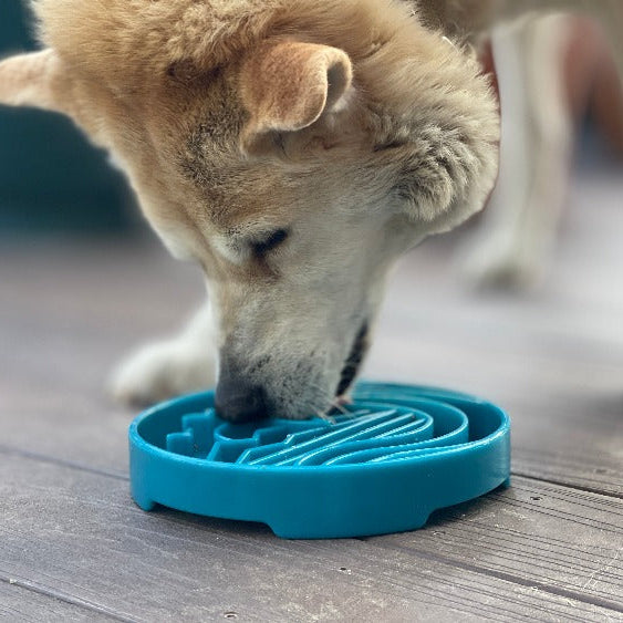 Blue Baja Design eTray Enrichment Shallow Slow Feeder Dog Bowl by SodaPup/True Dogs, LLC, featuring a durable, shallow feeding surface.