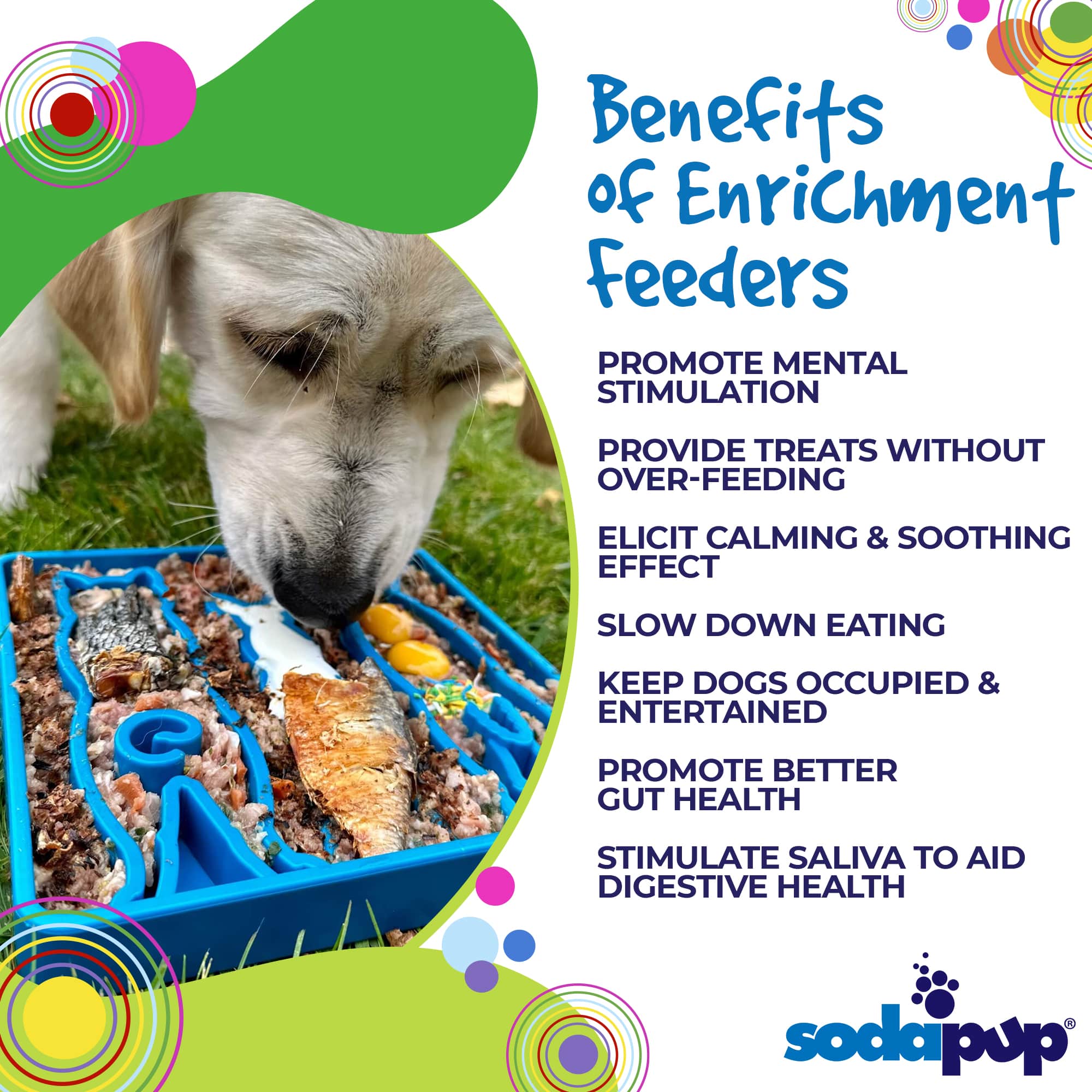Blue Waiting Dogs Design eTray for dogs by SodaPup/True Dogs, LLC, featuring a playful dog waiting illustration on an enrichment tray.