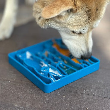 Blue Waiting Dogs design eTray for dogs by SodaPup/True Dogs, LLC, featuring a colorful dog-themed pattern on an enrichment tray.