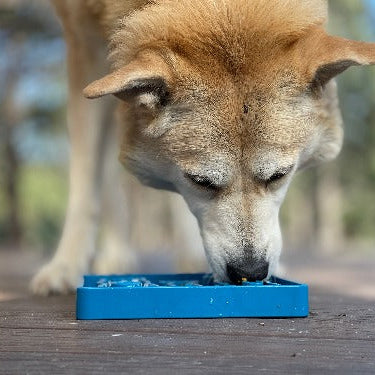 Blue Waiting Dogs Design eTray for dogs by SodaPup/True Dogs, LLC, featuring a playful dog design on an enrichment tray.