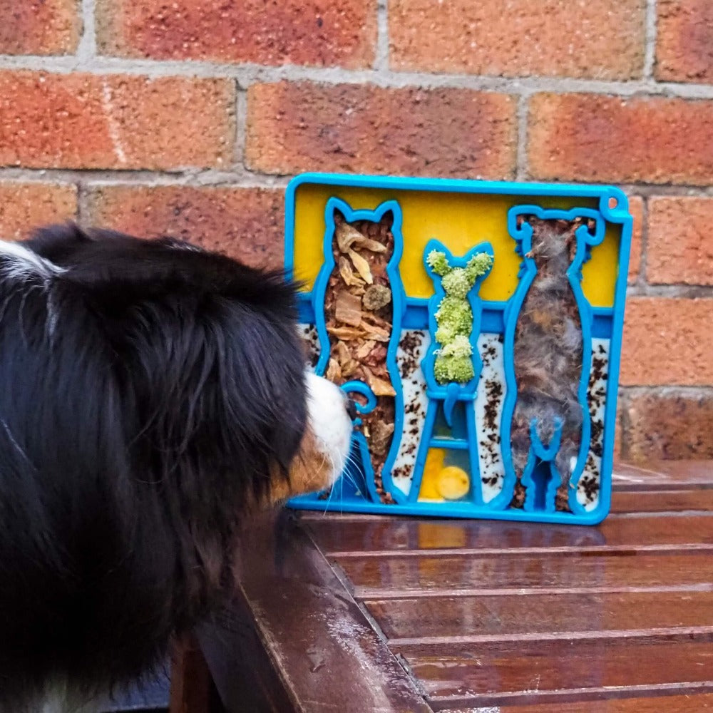 Blue Waiting Dogs Design eTray for dogs by SodaPup/True Dogs, LLC, featuring a playful dog pattern on an enrichment tray.