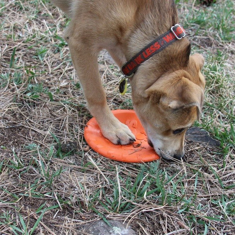 Orange Rubber Dog Frisbee Bottle Top Flyer by SodaPup, durable retrieving toy for dogs, 9.75-inch diameter rubber disc.