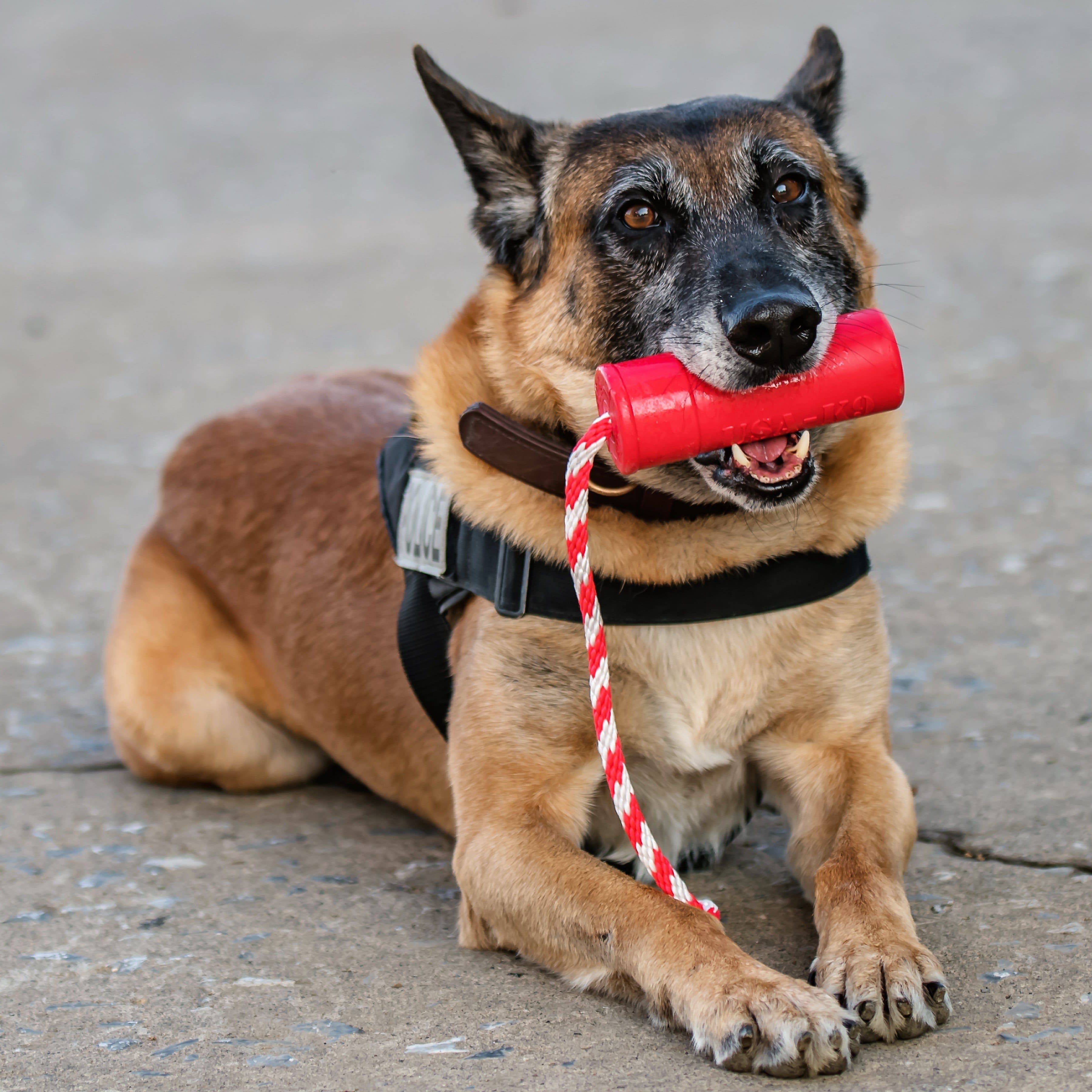 Large red USA-K9 Firecracker durable rubber floating dog training dummy by SodaPup, designed for fetch and water training.