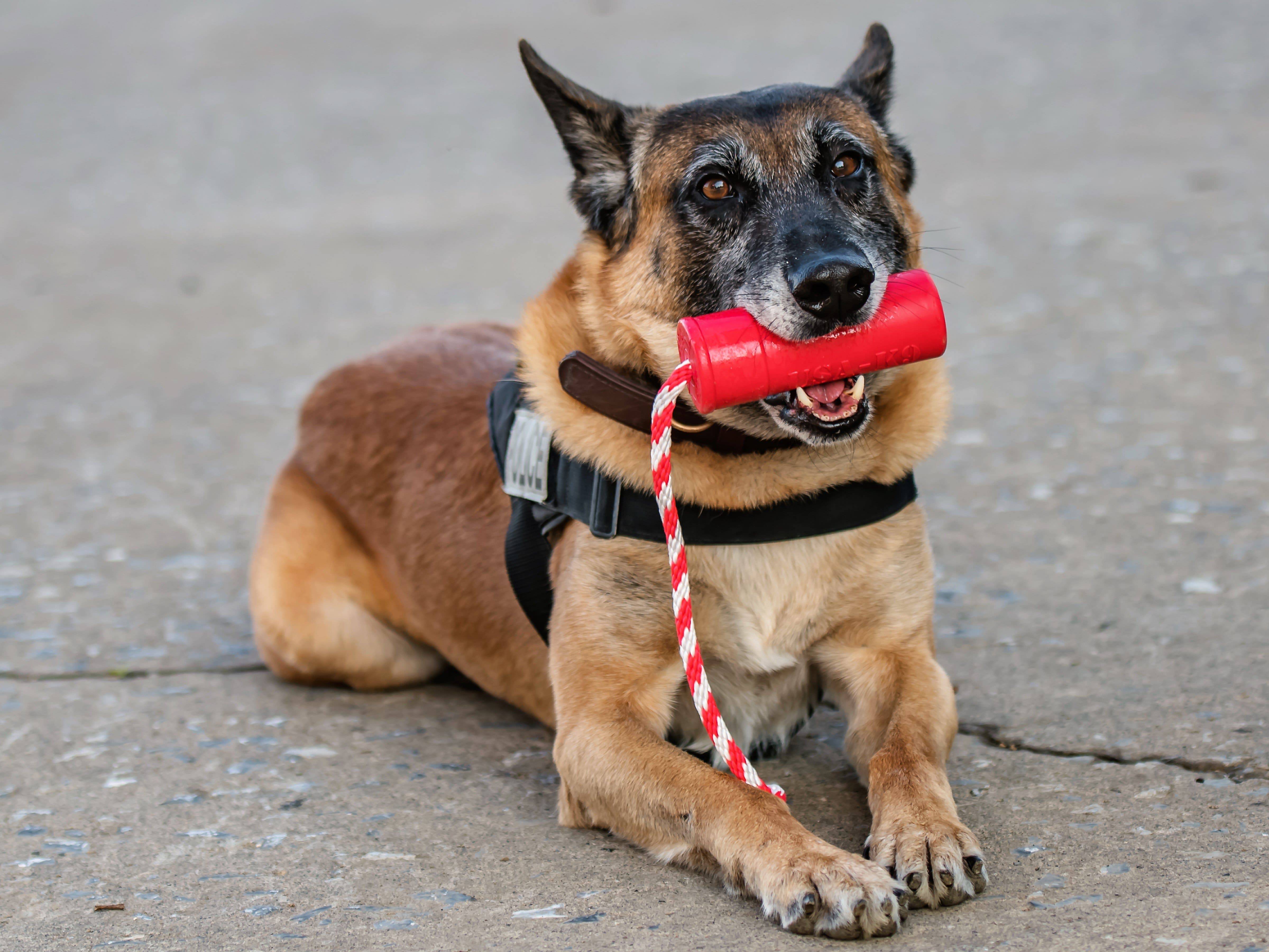 Large red USA-K9 Firecracker durable rubber floating dog training dummy by SodaPup, designed for fetch and water training.