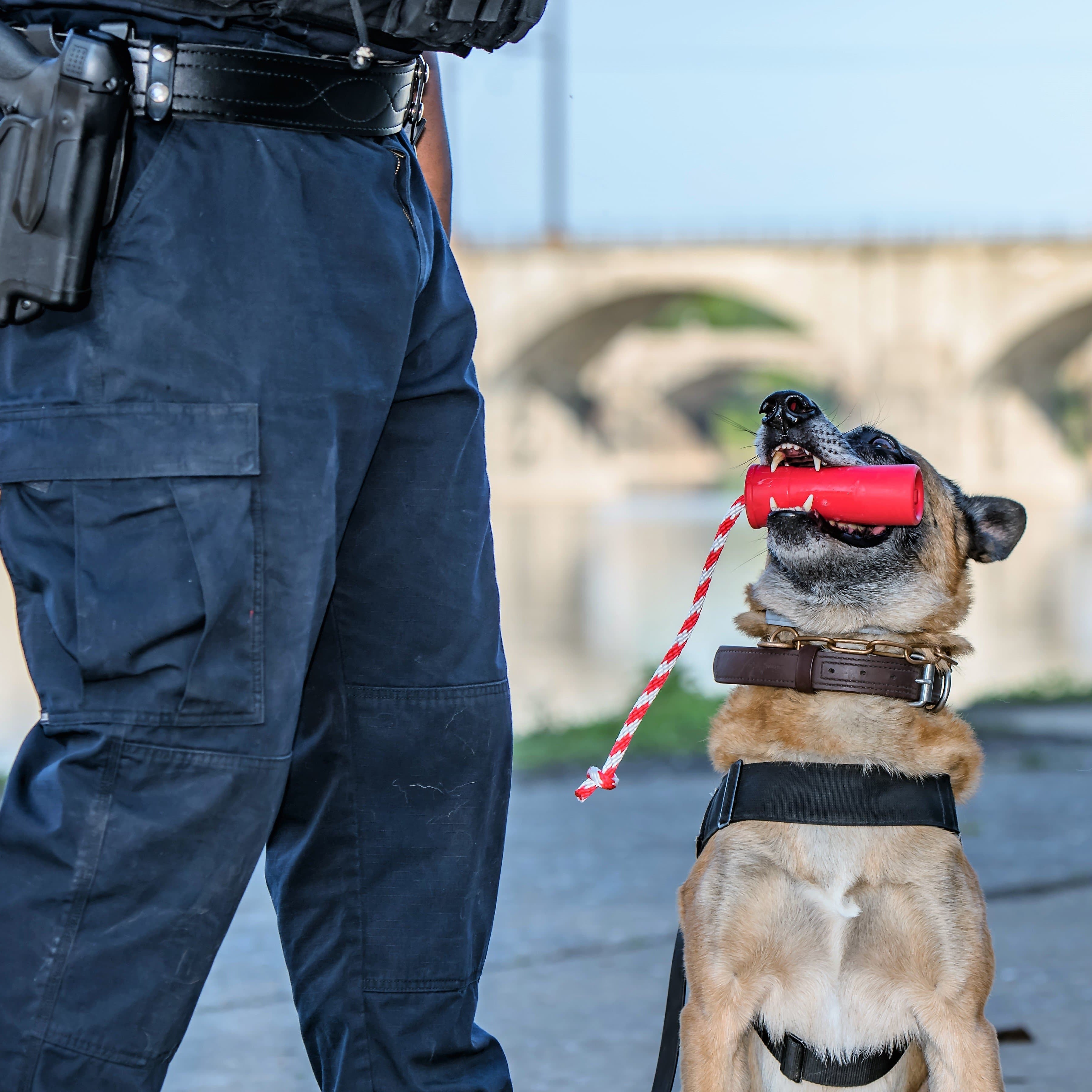 Large red USA-K9 Firecracker durable rubber floating training dummy for dogs, designed for fetch and training by SodaPup/True Dogs, LLC.