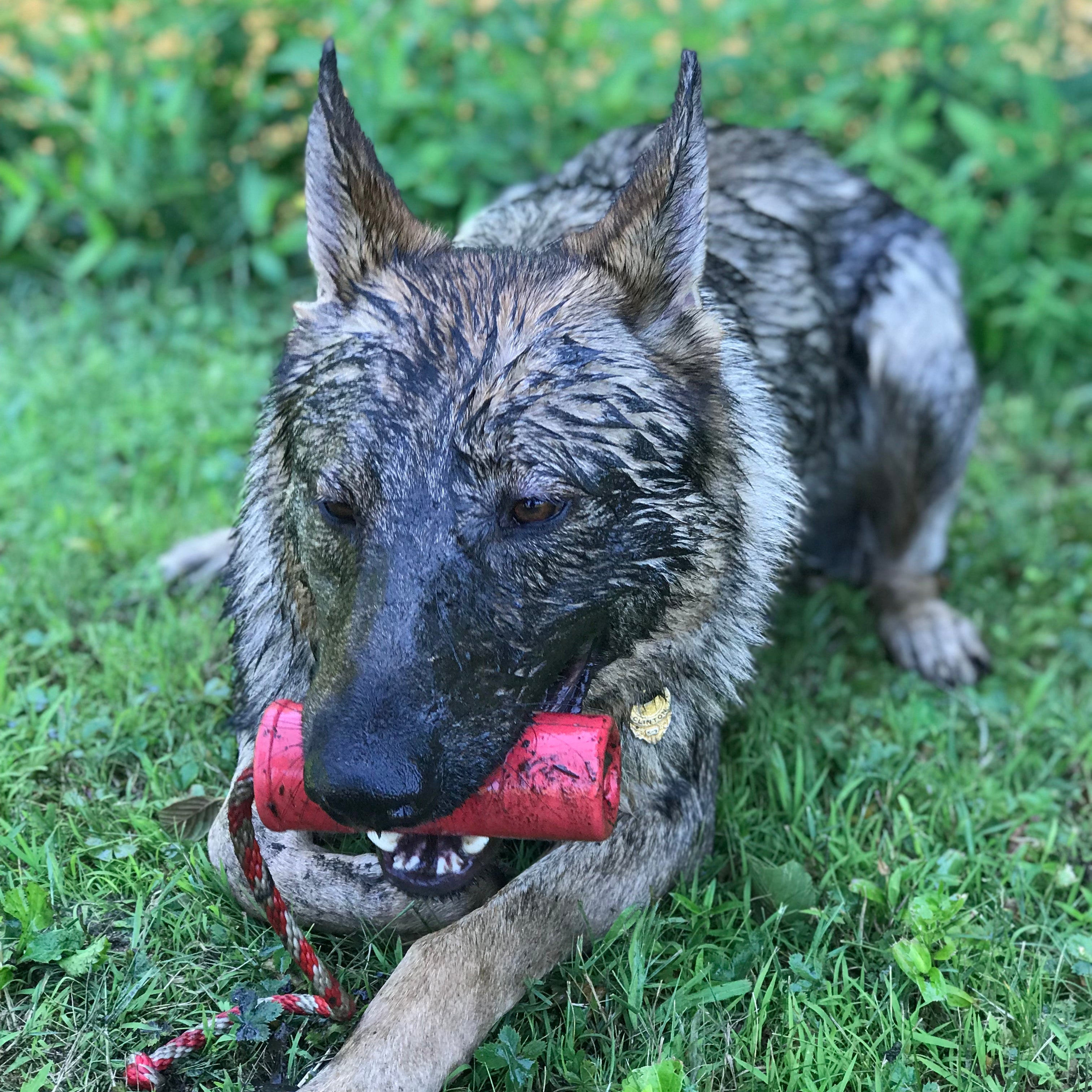 Large red USA-K9 Firecracker rubber dog toy, durable floating training dummy for dogs, by SodaPup/True Dogs, LLC.