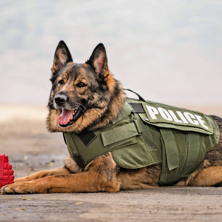 Red USA-K9 Grenade rubber dog toy and treat dispenser by SodaPup/True Dogs, LLC, showing durable rubber with a grenade shape.