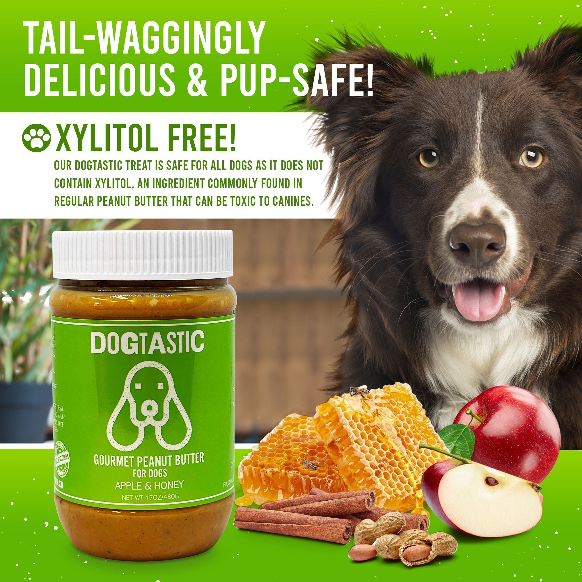 Dogtastic Gourmet Peanut Butter for Dogs by SodaPup/True Dogs, LLC, jar of Flax Seed flavored treats for dogs.
