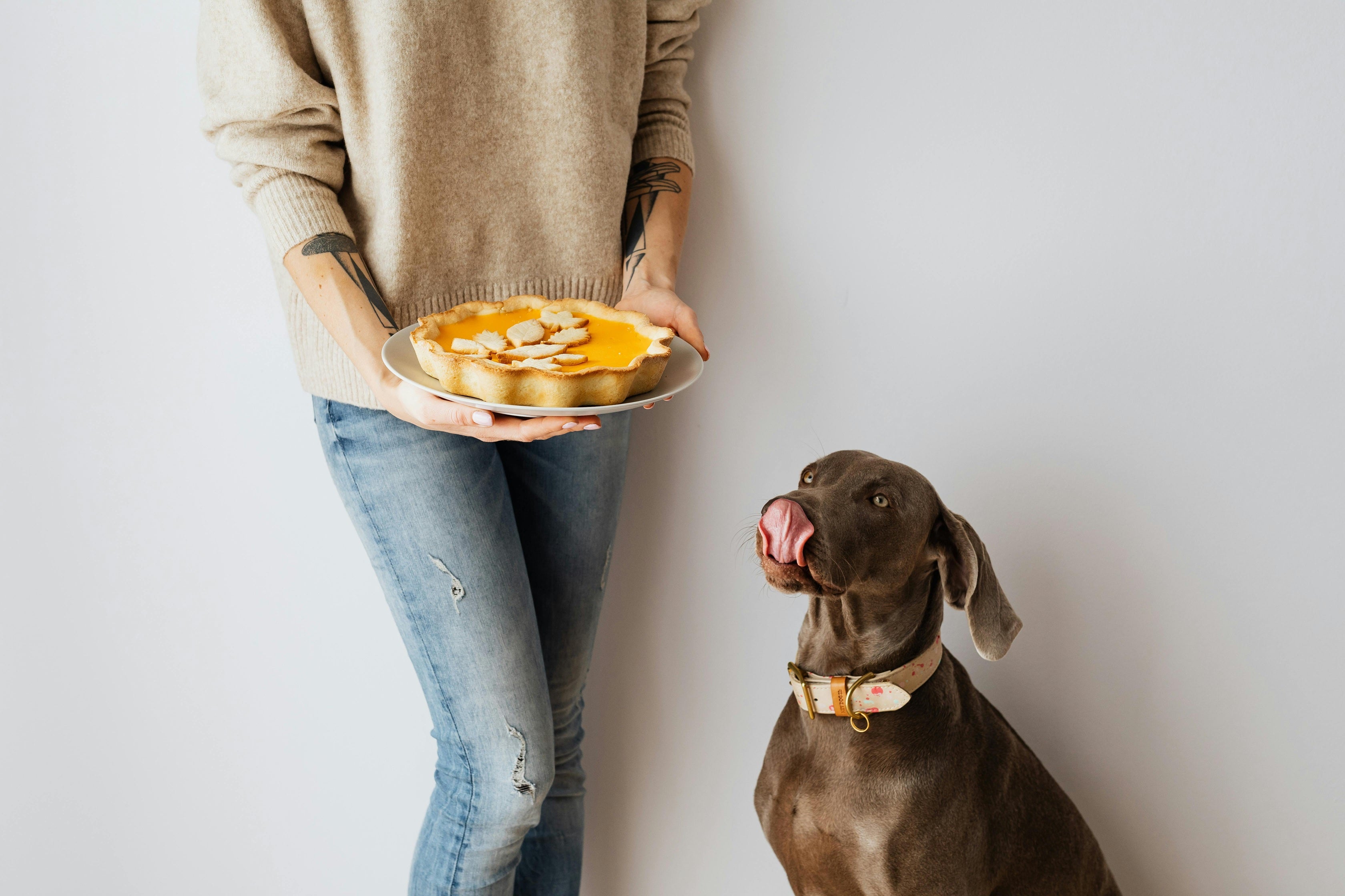 Ways to Include Your Dog on Thanksgiving