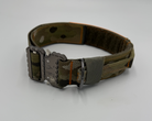 Titan Tactical Series dog collar with COBRA® buckle, control handle, and BioThane personalized tag – American Ruffneck Collars