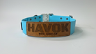 Sky Blue Biothane dog collar with silver Cobra style buckle and hardware. Leather patch sewn onto it that read HAVOK The Great