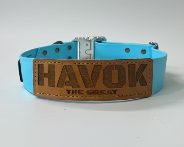Sky Blue Biothane dog collar with silver Cobra style buckle and hardware. Leather patch sewn onto it that read HAVOK The Great
