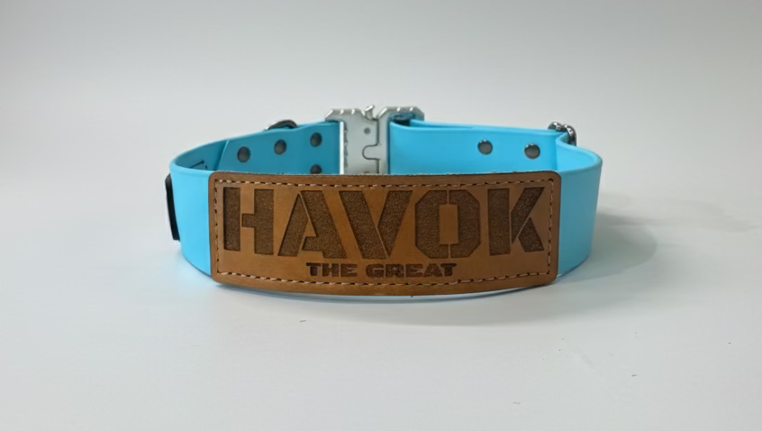 Sky Blue Biothane dog collar with silver Cobra style buckle and hardware. Leather patch sewn onto it that read HAVOK The Great